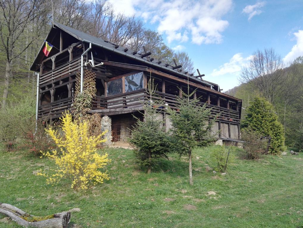 Hotel Cabana La noi Rîşnov Exterior foto